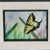 butterflies flying over grass